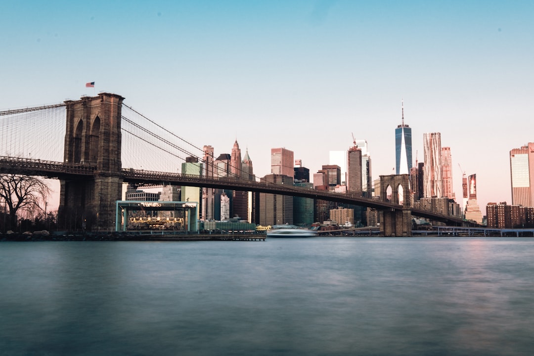 brown suspension bridge, Brooklyn Bridge Skyline