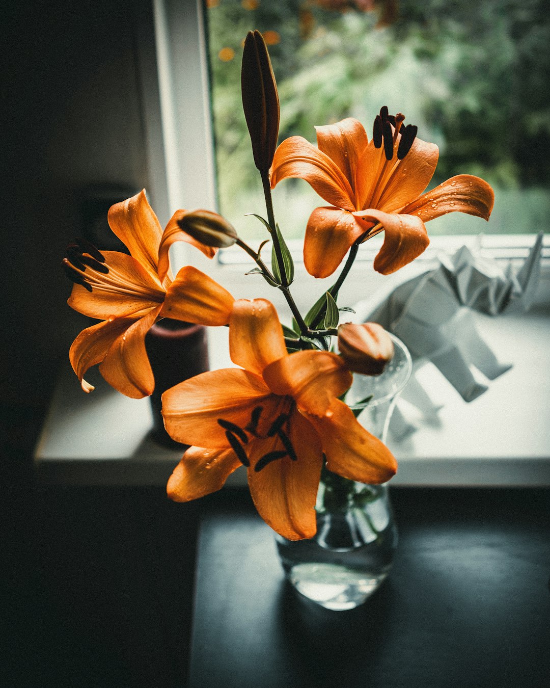 selective focus photography of brown petaled flower centerpiece beside wall