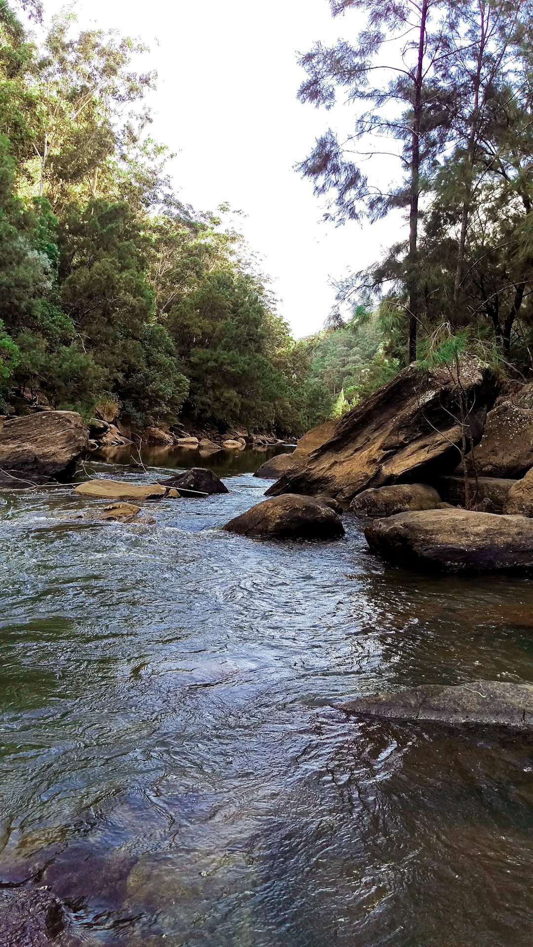 Stream photo spot Sydney Australia