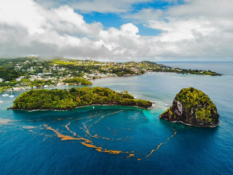 Saint Vincent and the Grenadines: Complete Country Guide and Travel Information