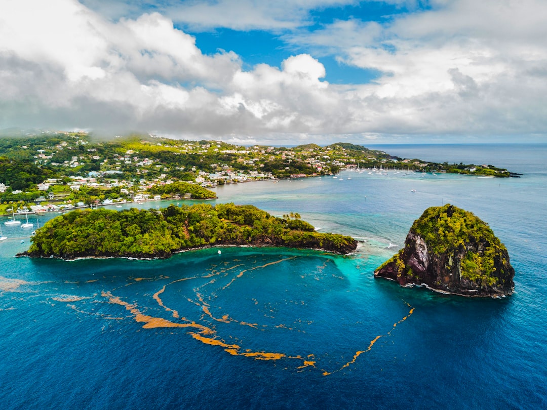 aerial photography of island