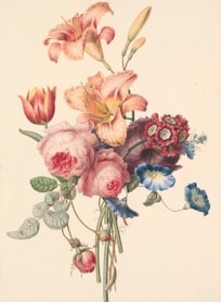 pink and white flower painting