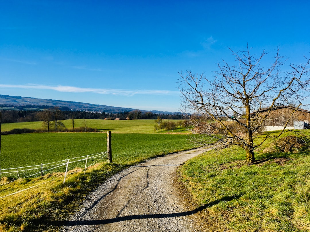 Hill photo spot Switzerland Muotathal