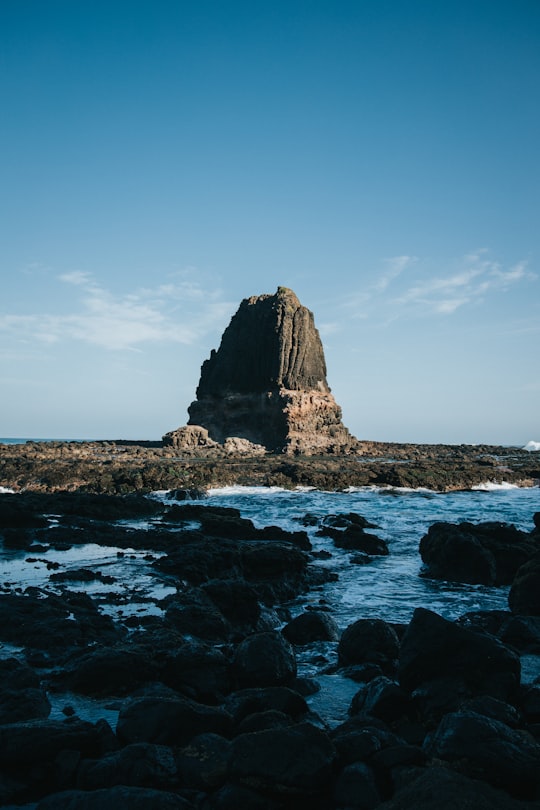 gray coastal rocks during daytime in RACV Cape Schanck Resort Australia