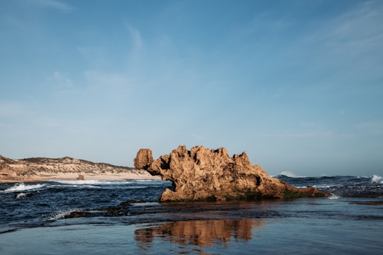 rocks on sea in Rye Victoria Australia