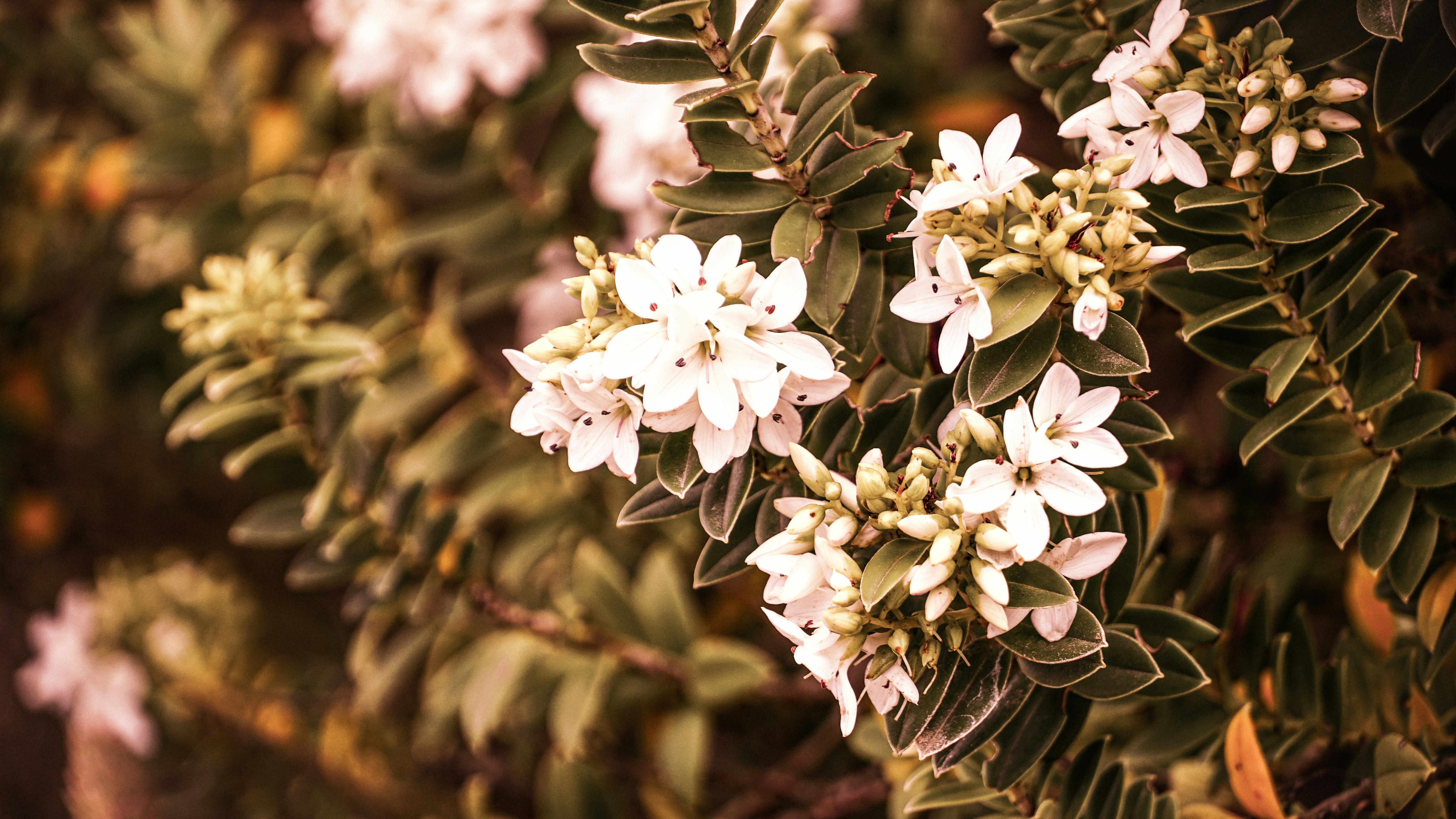 Photo by advocator_sy