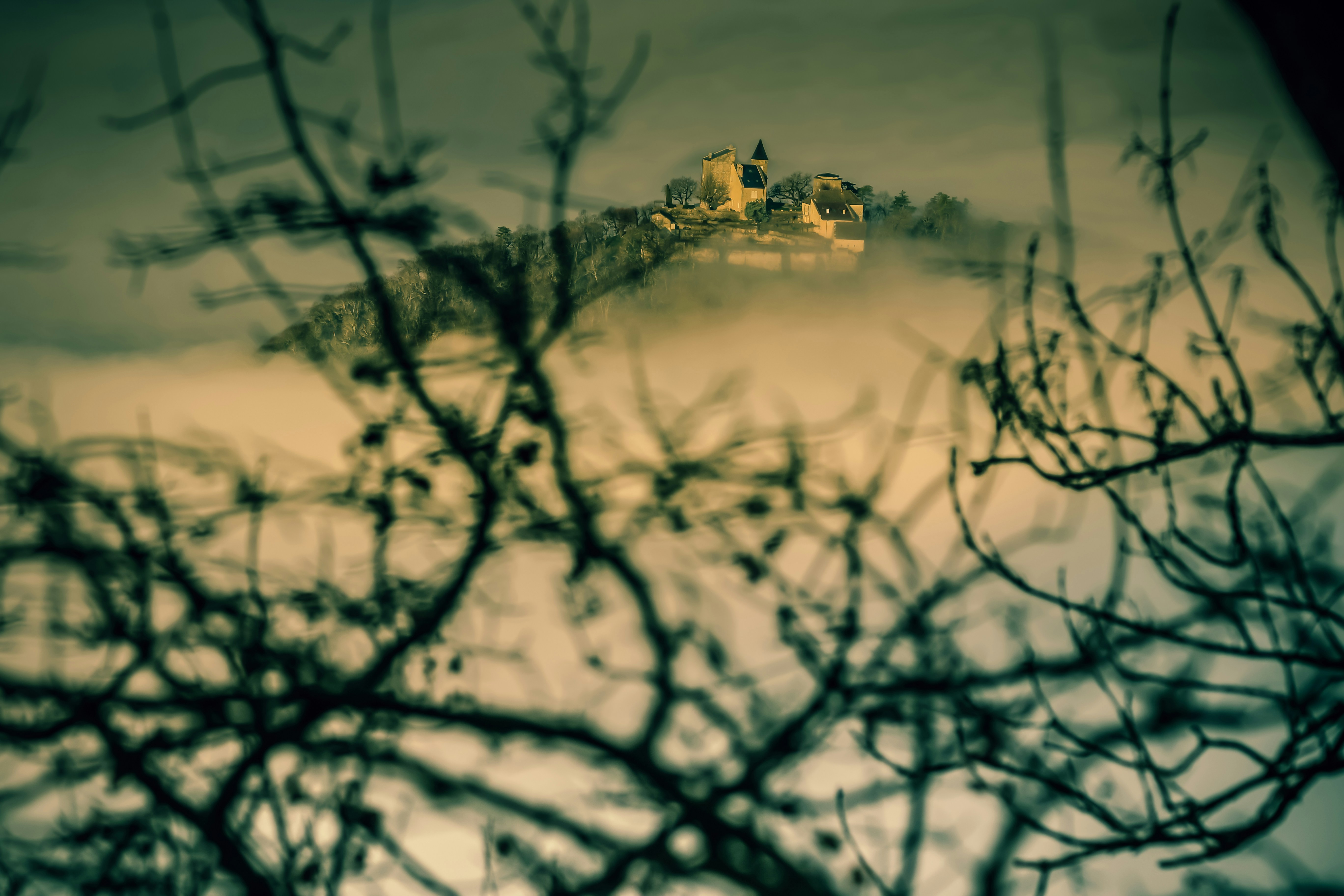 Photo by reskp