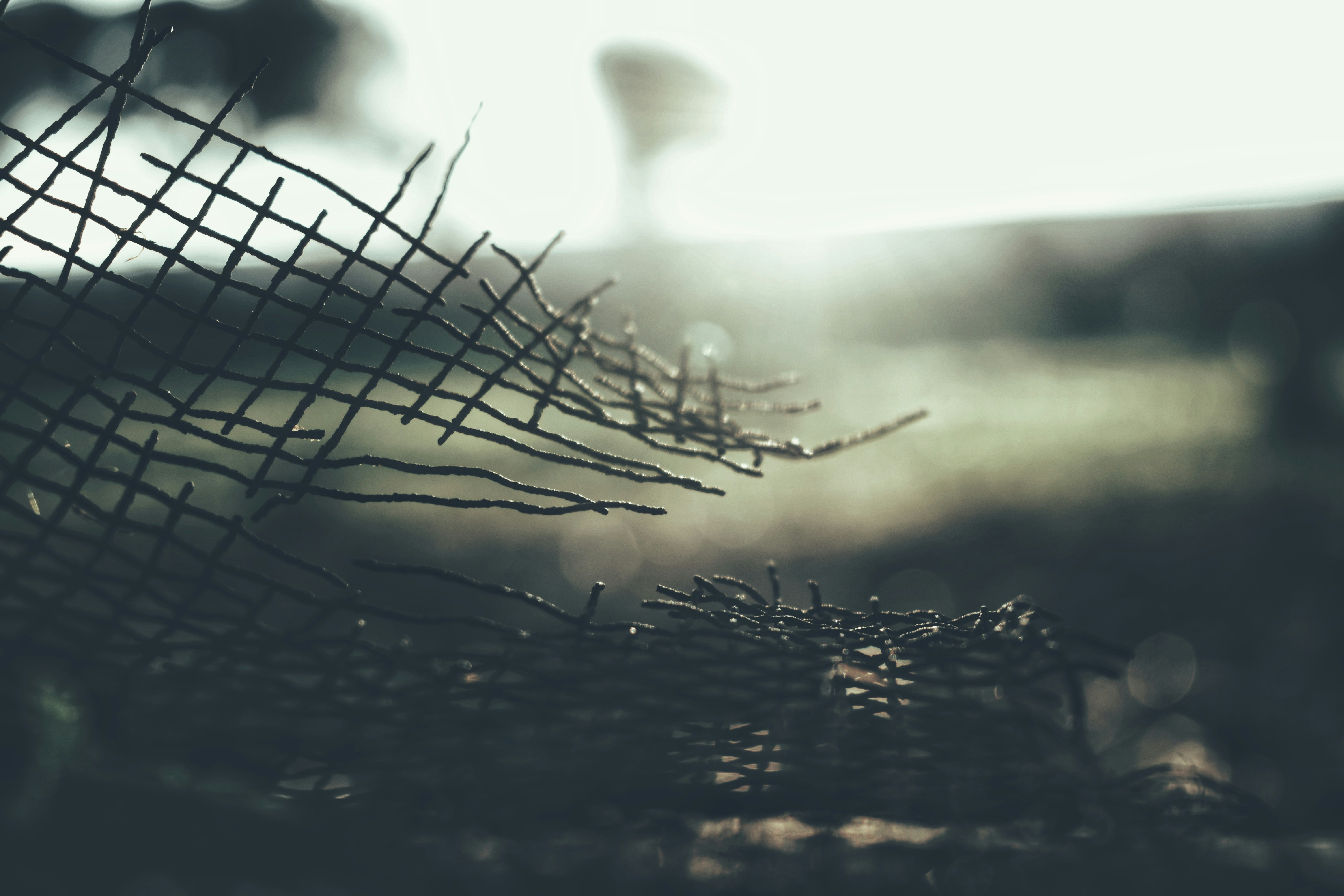 Photo by bilal_ayadi