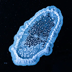 Close-up of a digital microscope revealing intricate network structures glowing softly.