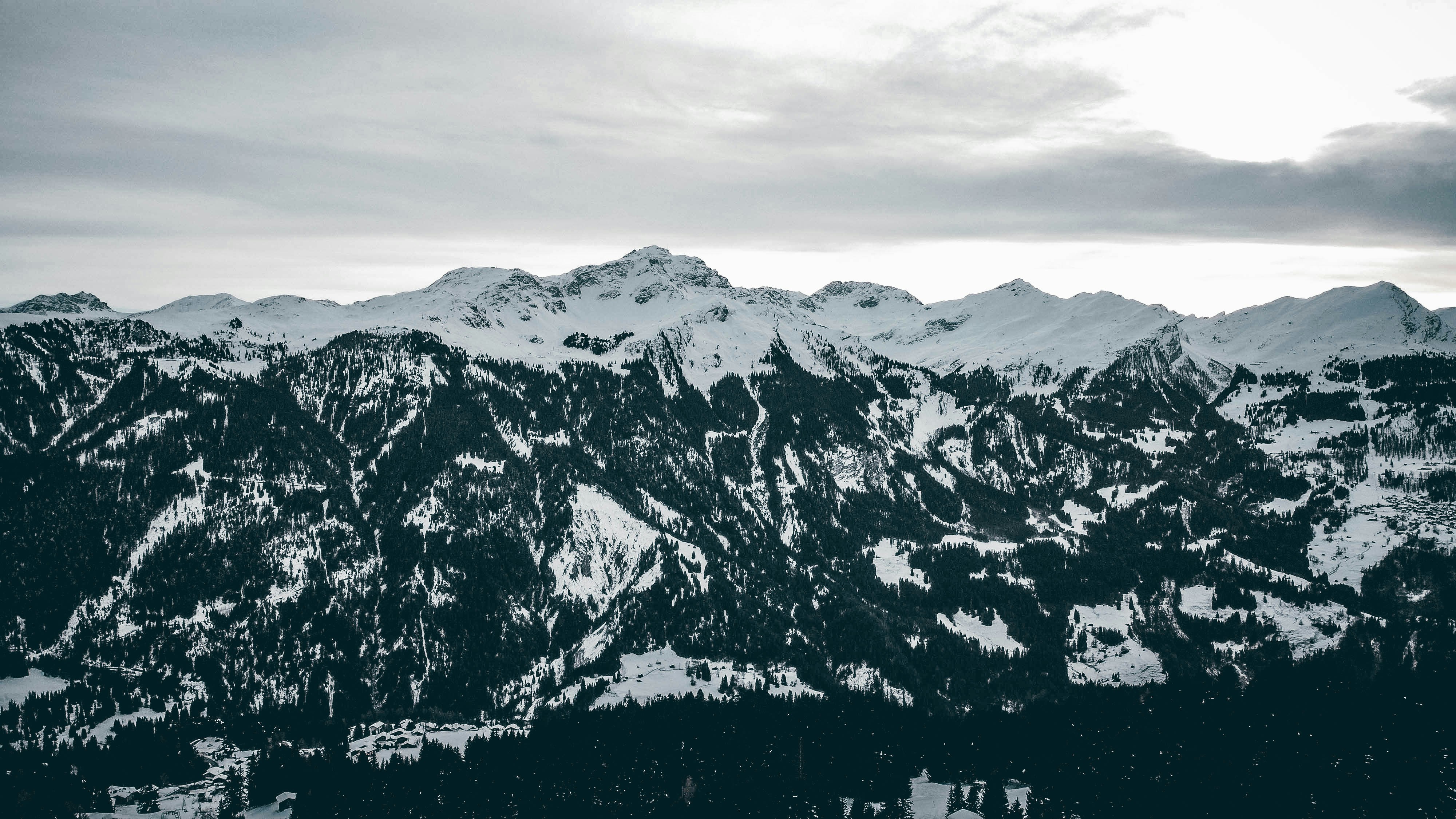 Photo by janoschphotos