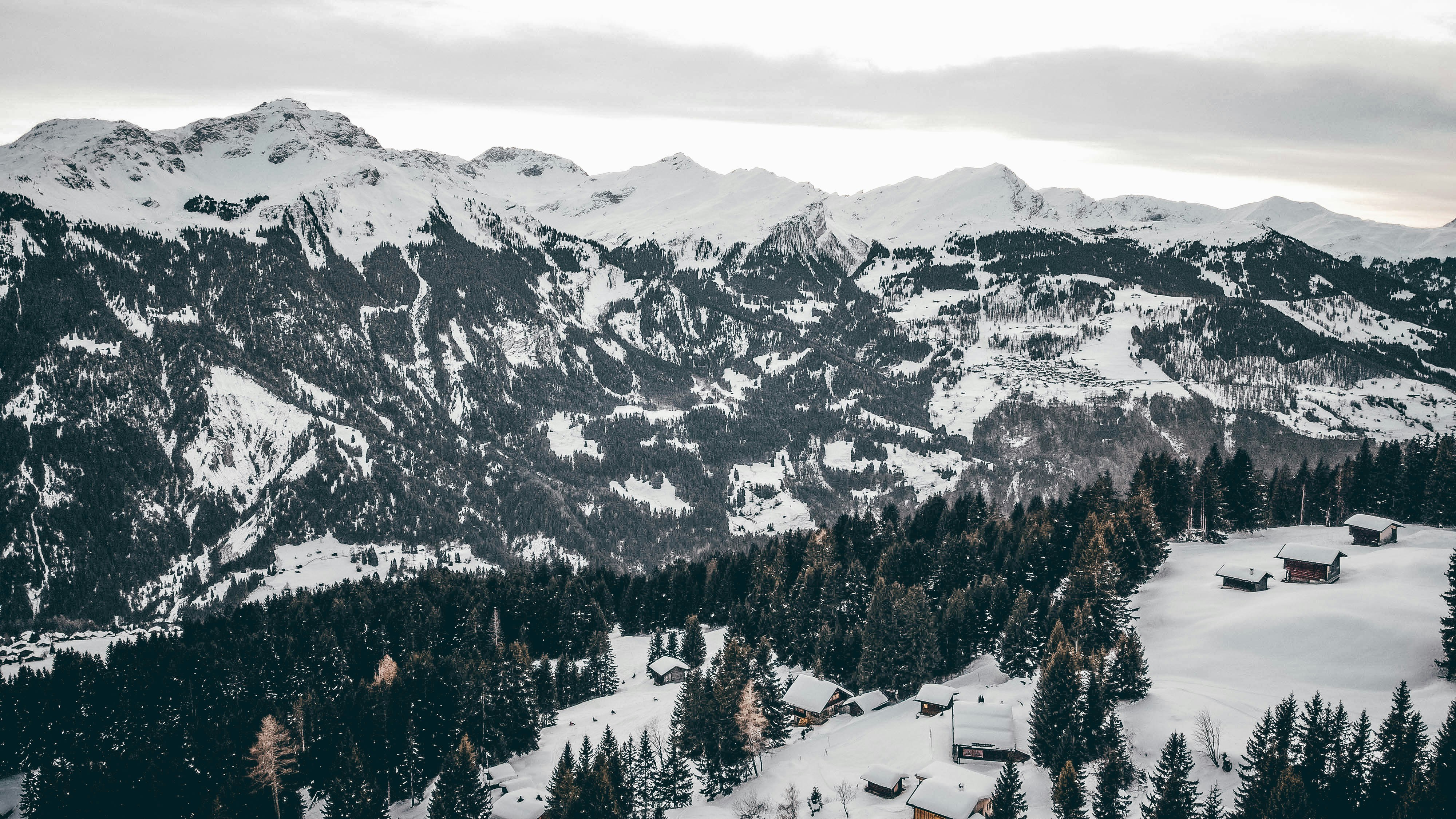 Photo by janoschphotos