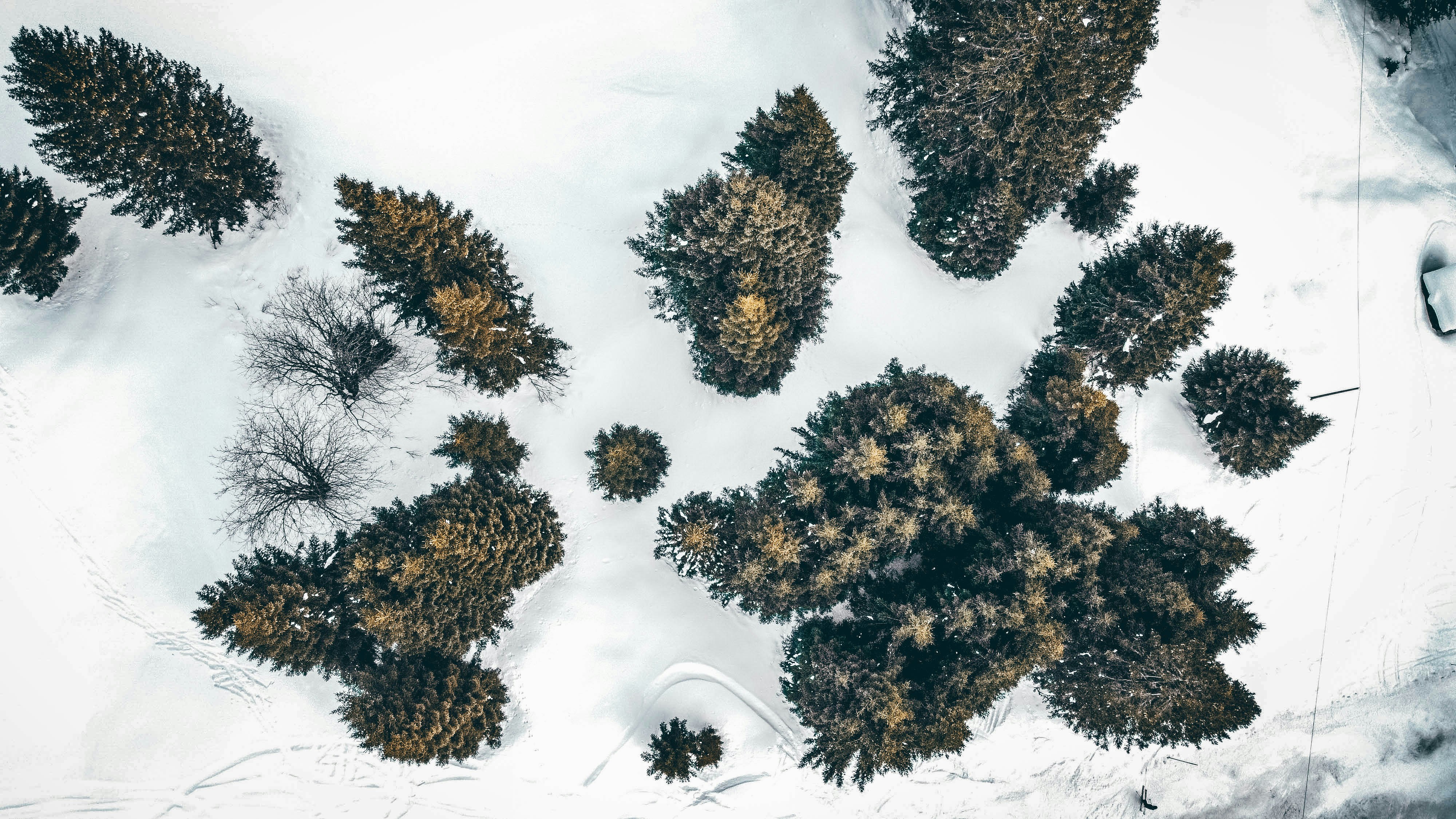 Photo by janoschphotos