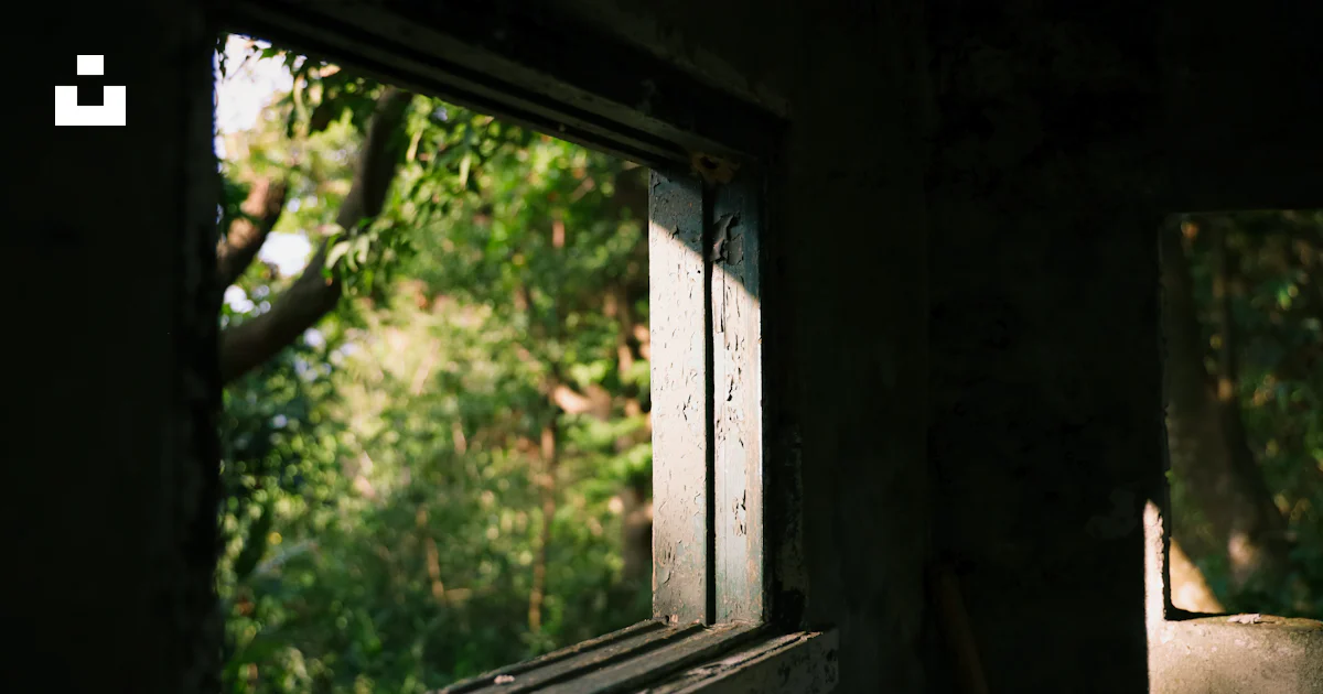 A window in a run down building with trees in the background photo ...