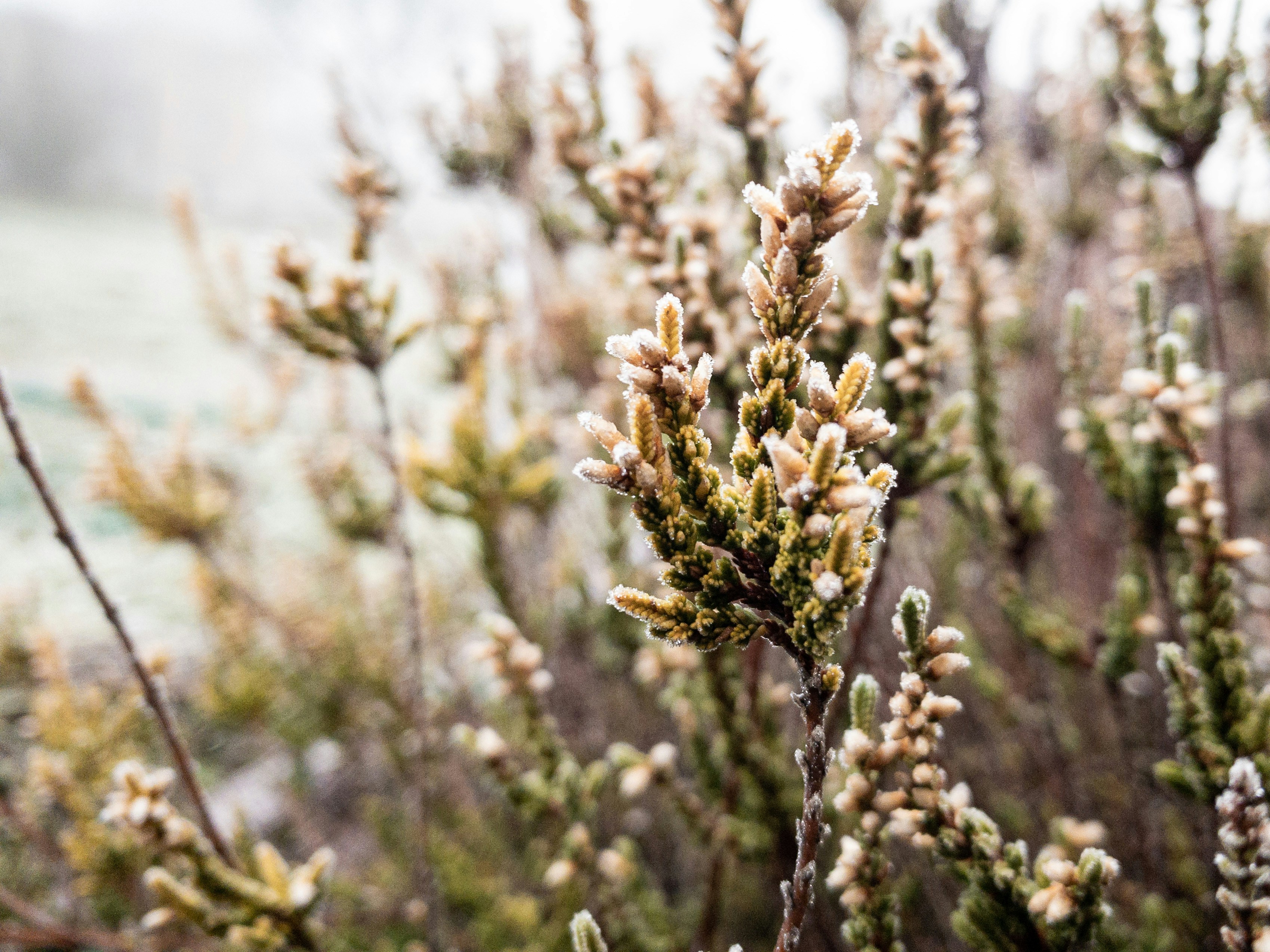 Photo by nina_grebowska