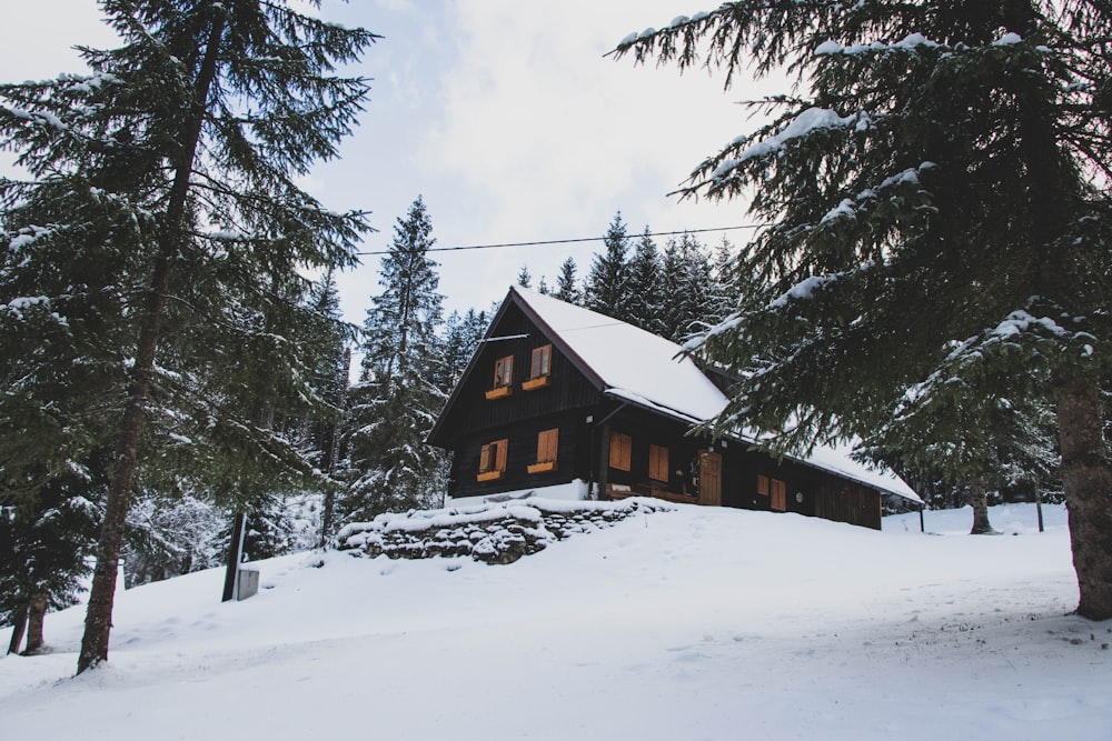 a house in the middle of a snowy forest