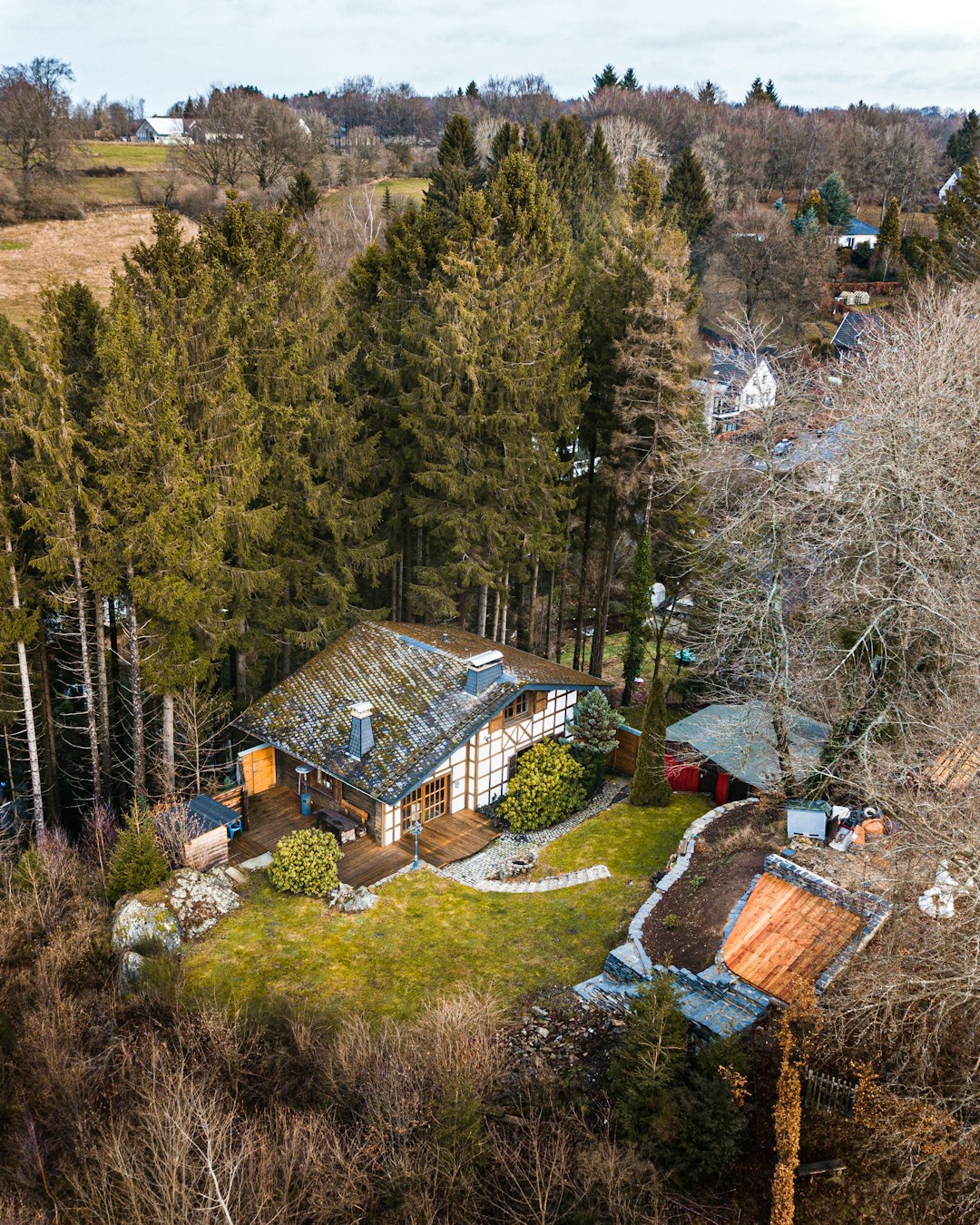 aerial photograph of shack beside trees