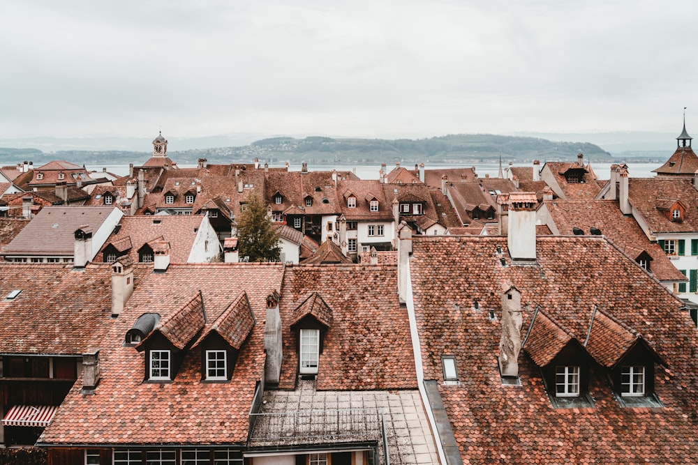 brown buildings