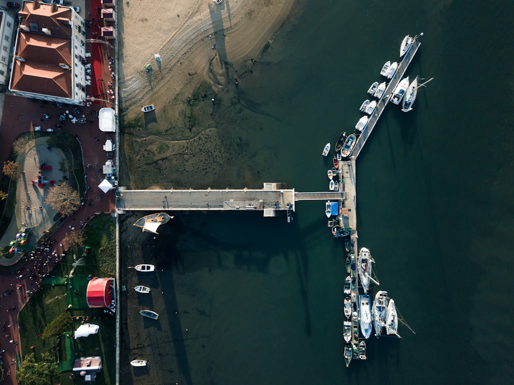 yachts docked on the pier