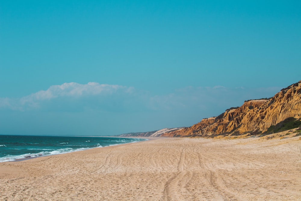 Una playa de arena junto al océano bajo un cielo azul