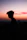 a silhouette of a man standing in front of a sunset