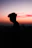 a silhouette of a man standing in front of a sunset