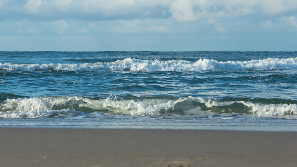 seashore during daytime