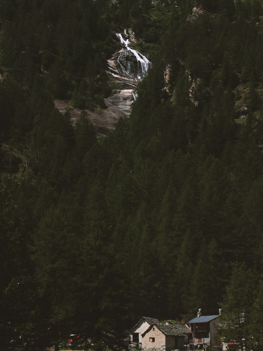 buildings and forest during daytime