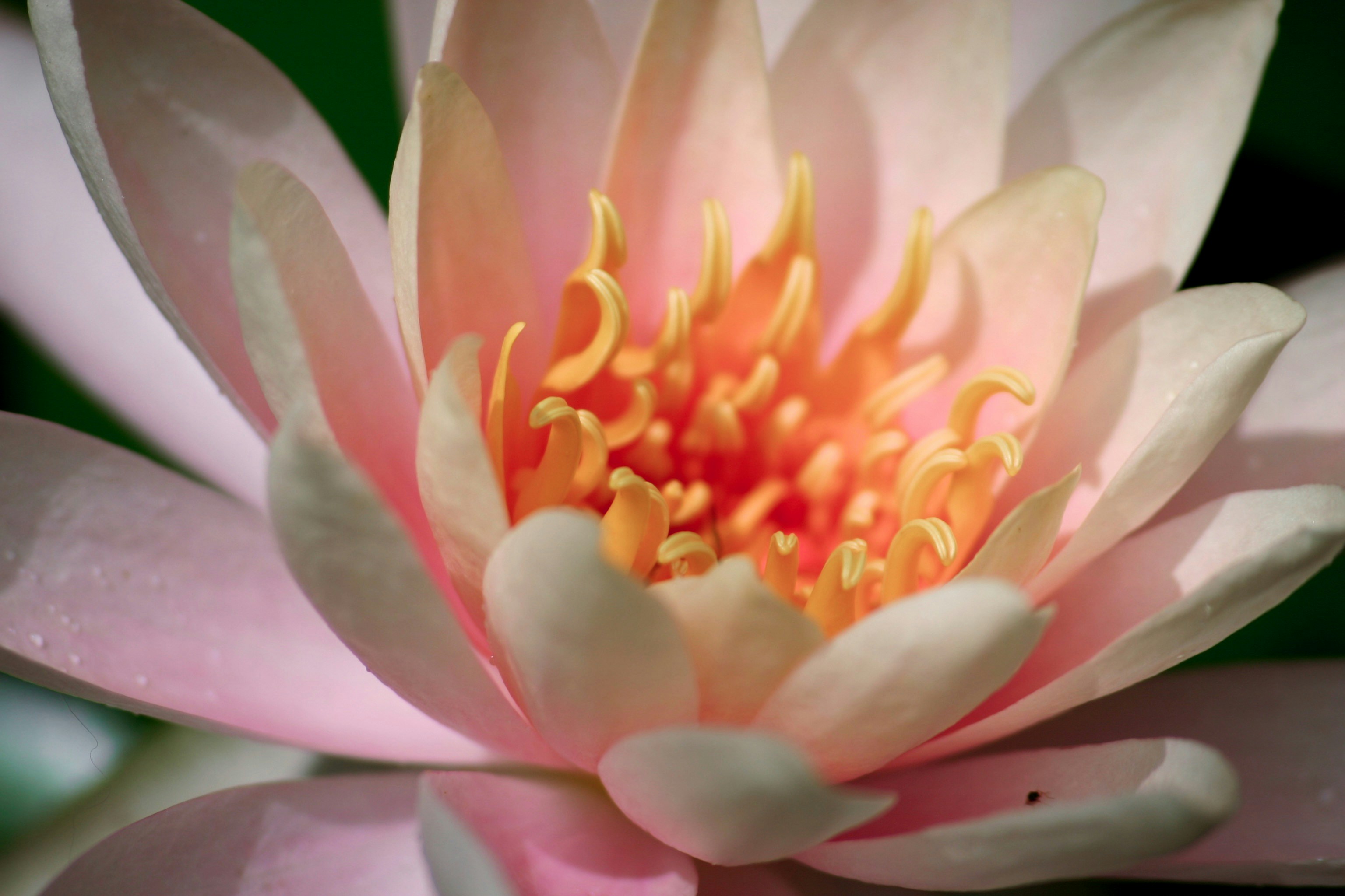 Photo by picsbyjameslee