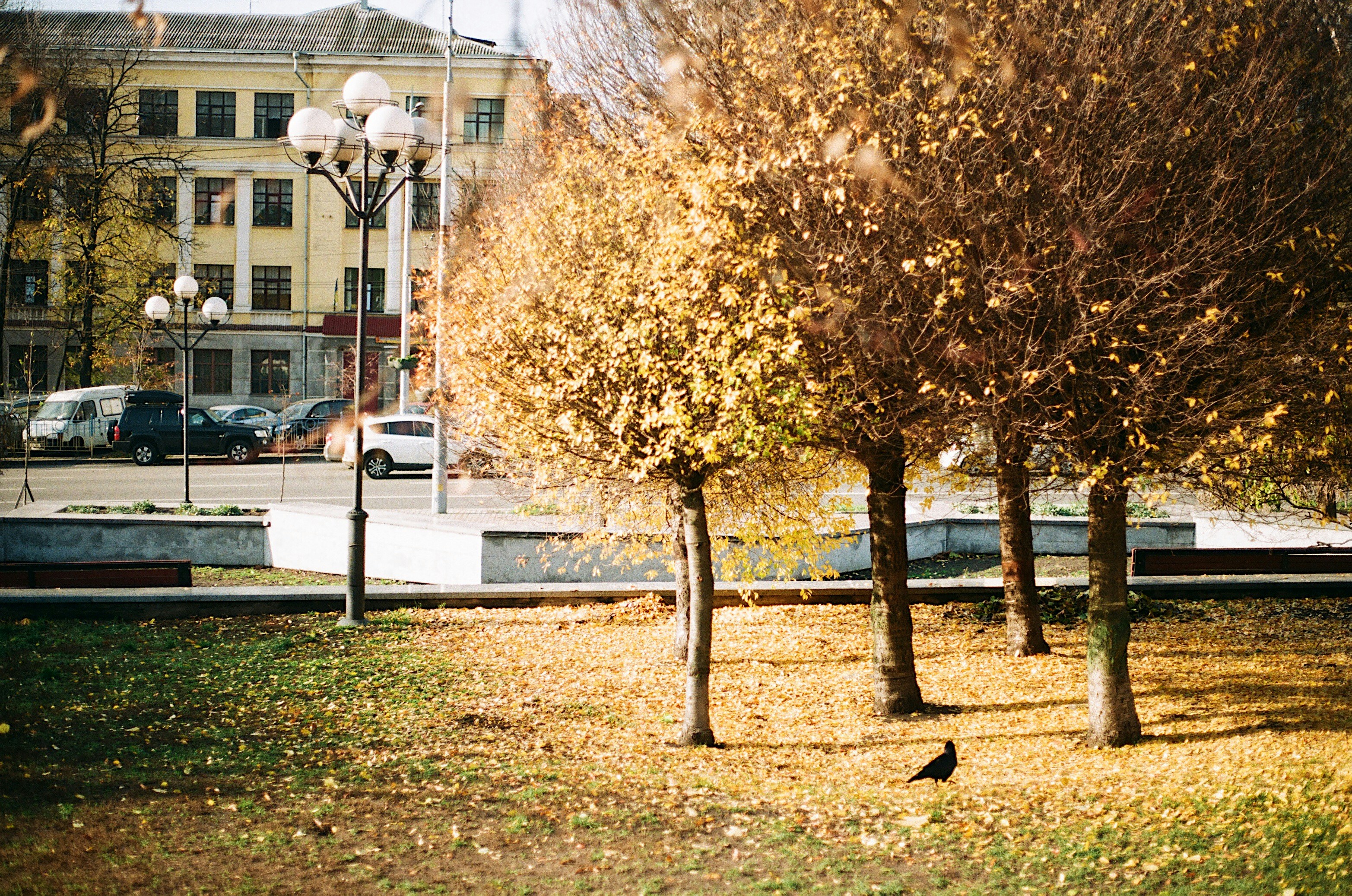 Photo by jusfilm