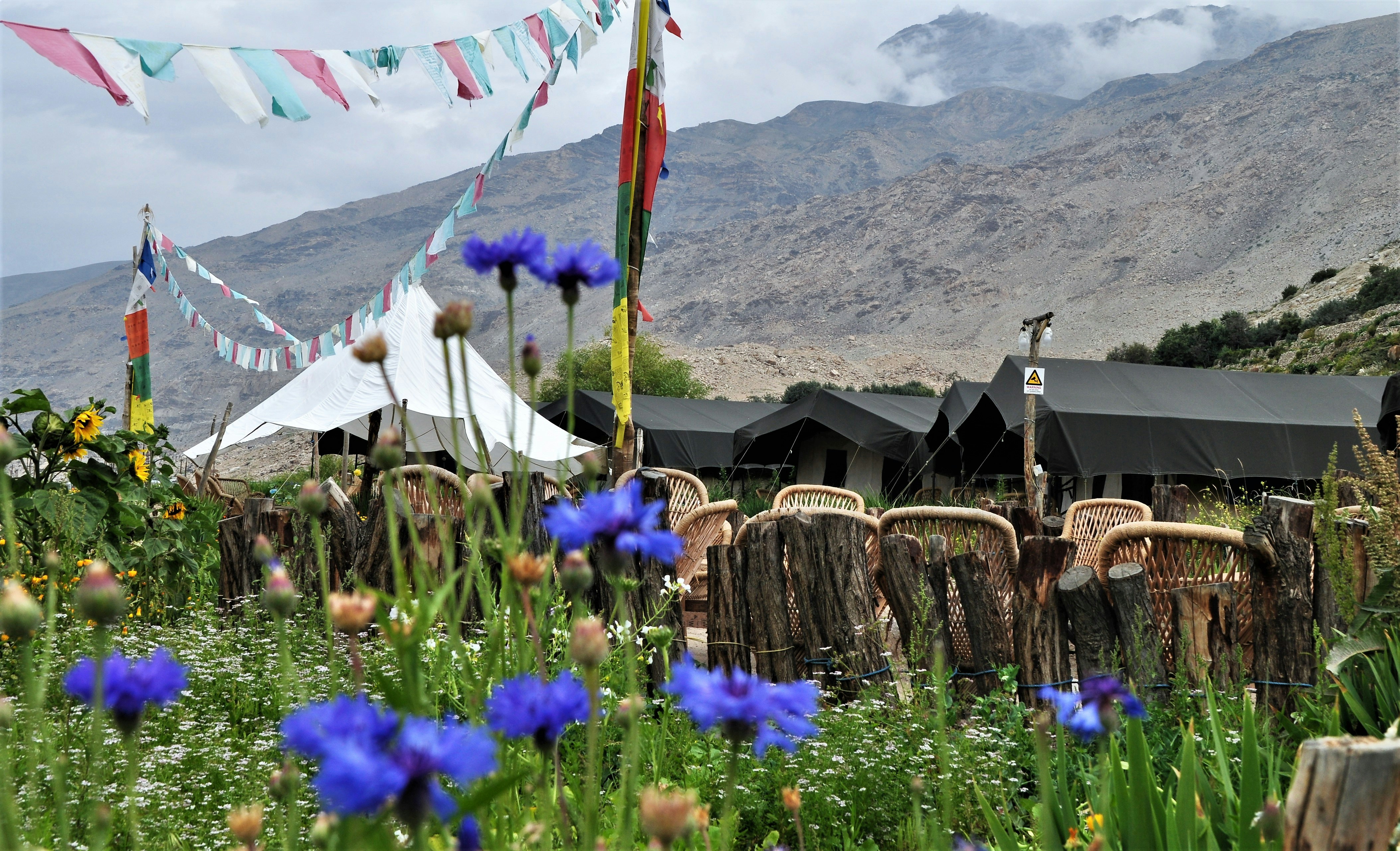 Budget-Friendly Tips for Finding Affordable Flights to Tibet