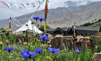 Colorful prayer flags are strung across a natural landscape, with blue wildflowers in the foreground. Several tents are pitched behind a row of wicker chairs and rustic wooden fencing. The scene is set against a backdrop of rugged mountains partially hidden by clouds.