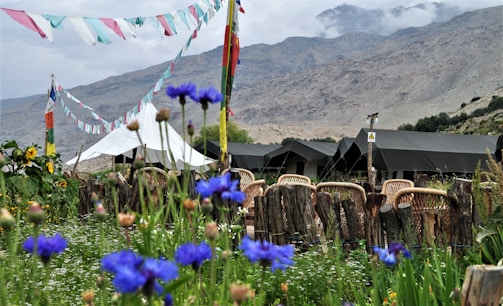 Colorful prayer flags are strung across a natural landscape, with blue wildflowers in the foreground. Several tents are pitched behind a row of wicker chairs and rustic wooden fencing. The scene is set against a backdrop of rugged mountains partially hidden by clouds.