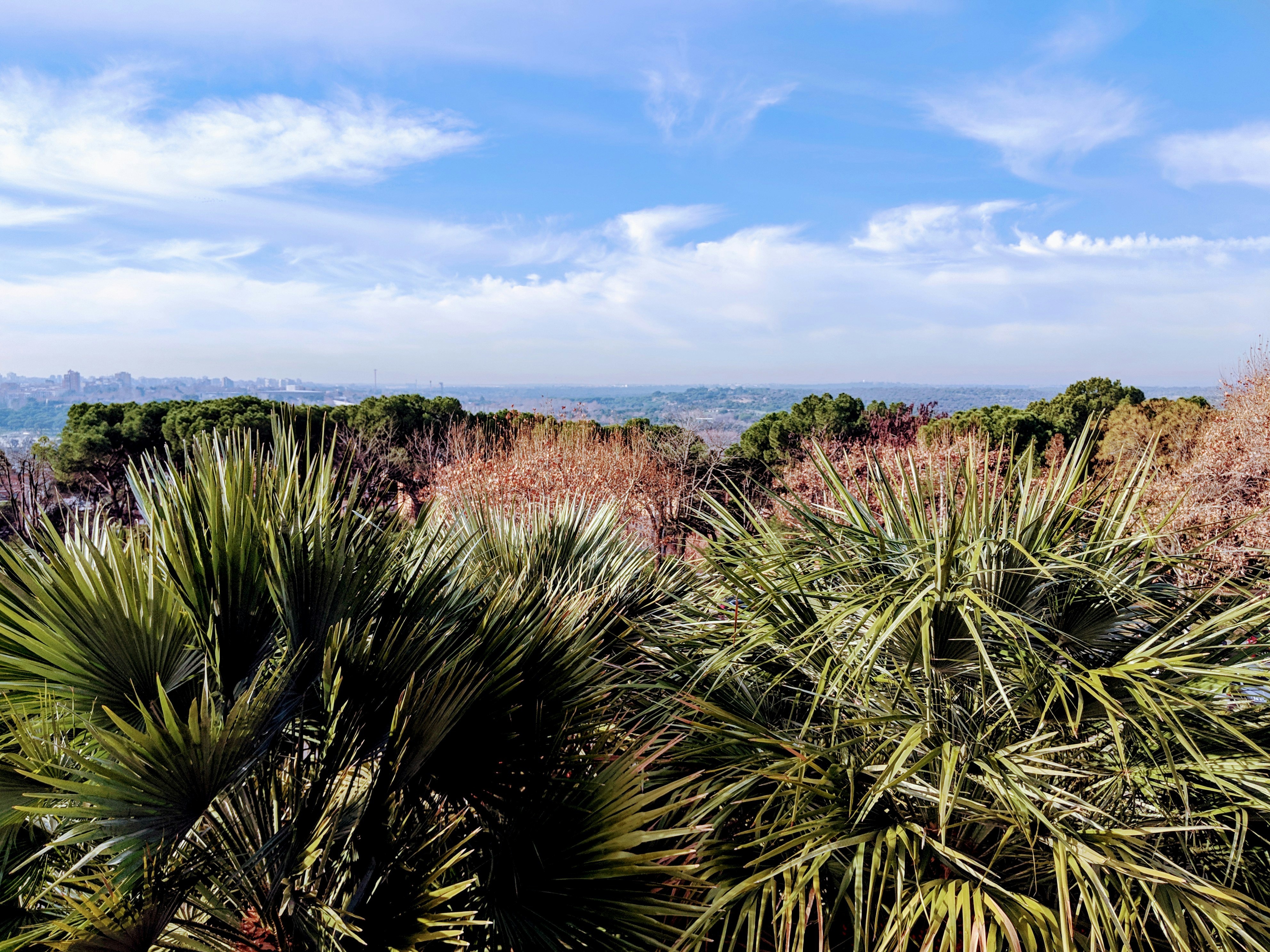 Photo by markuswinkler