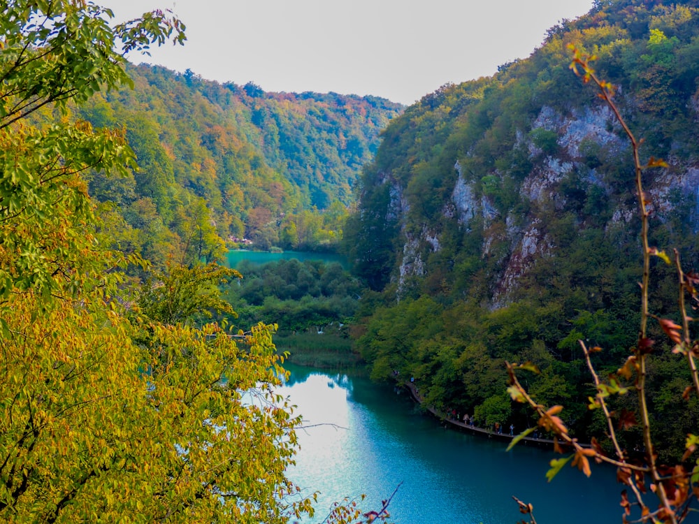 landscape photography of river viewing mountain during daytime