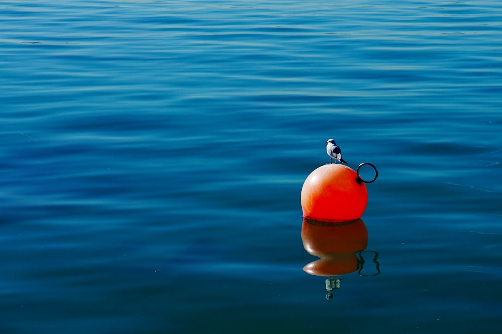 floating orange ball during daytime