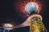 bridge and tower with plants