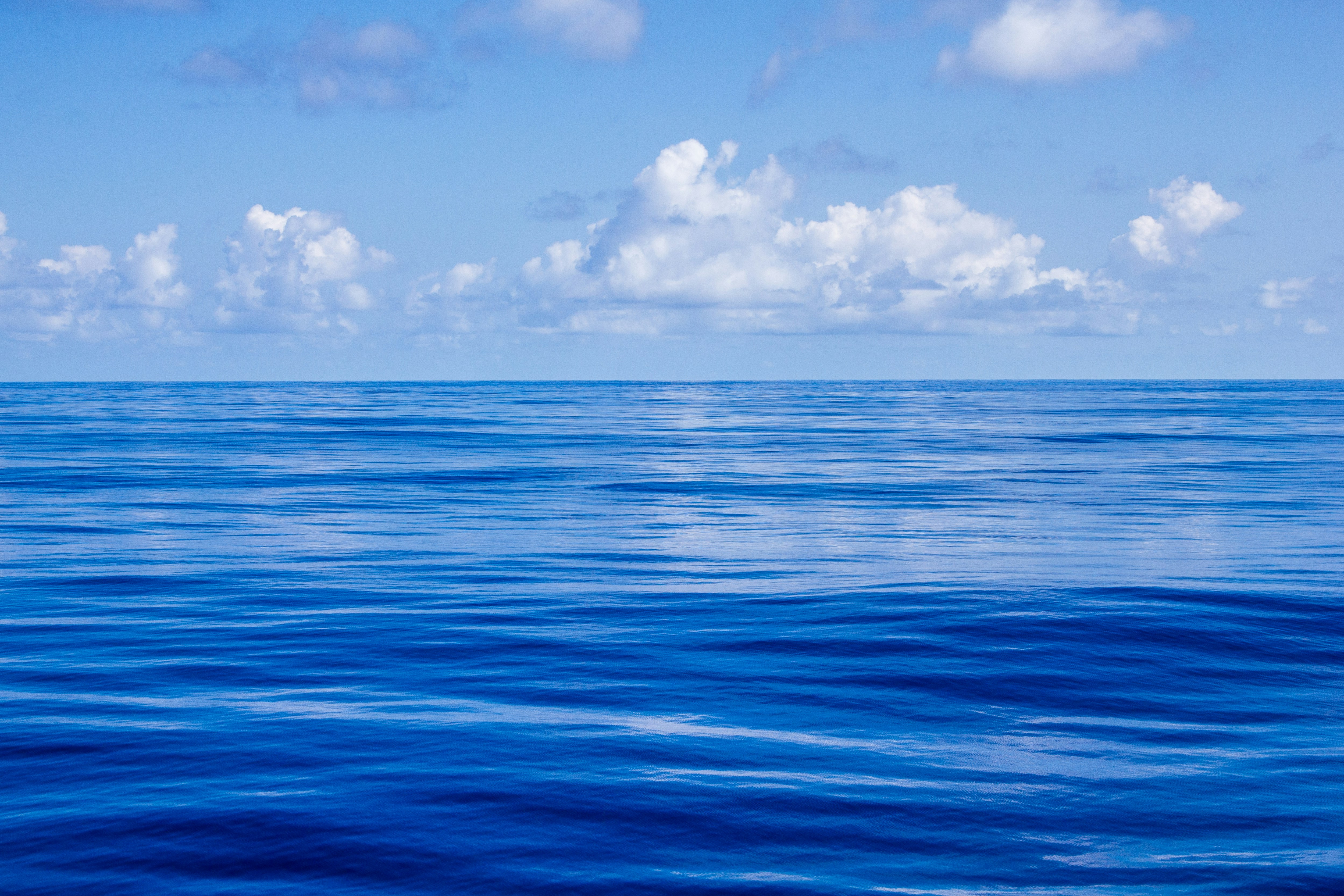 ブルーエコノミーとは？海洋資源の持続可能な利用方法関連画像