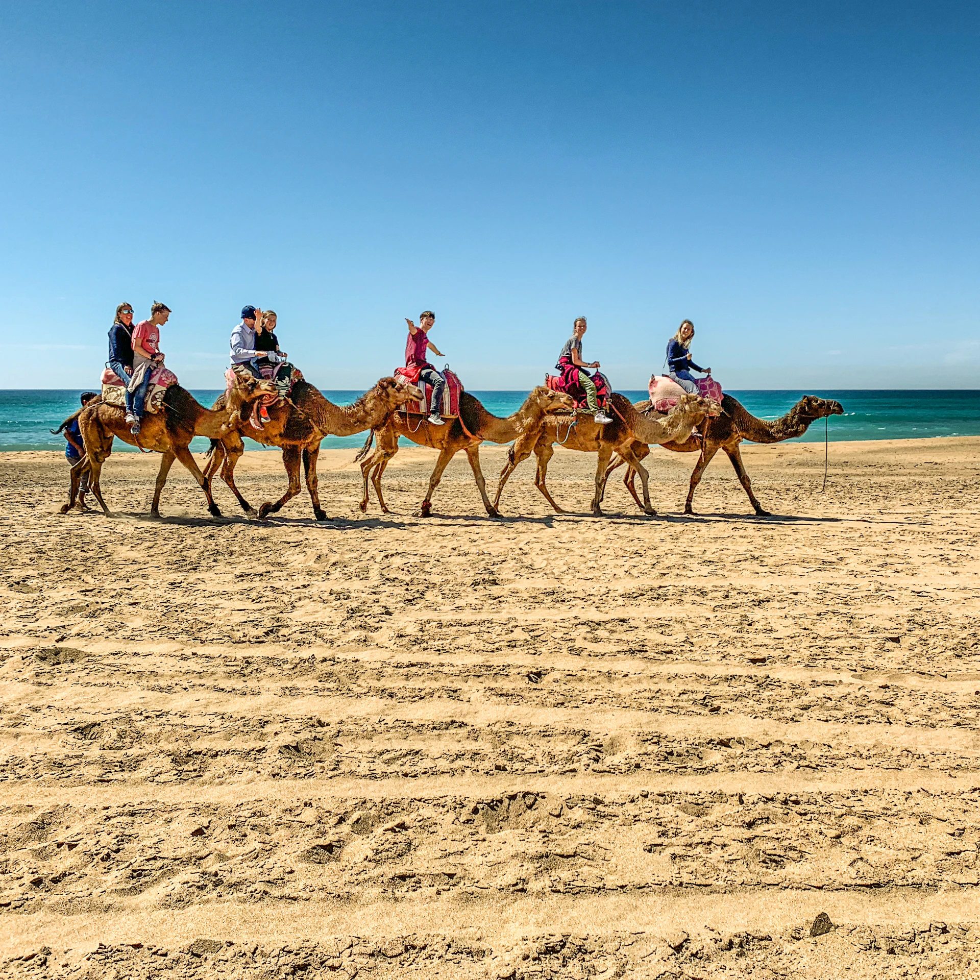 people riding brown camels on desert near body of water under blue and white sky