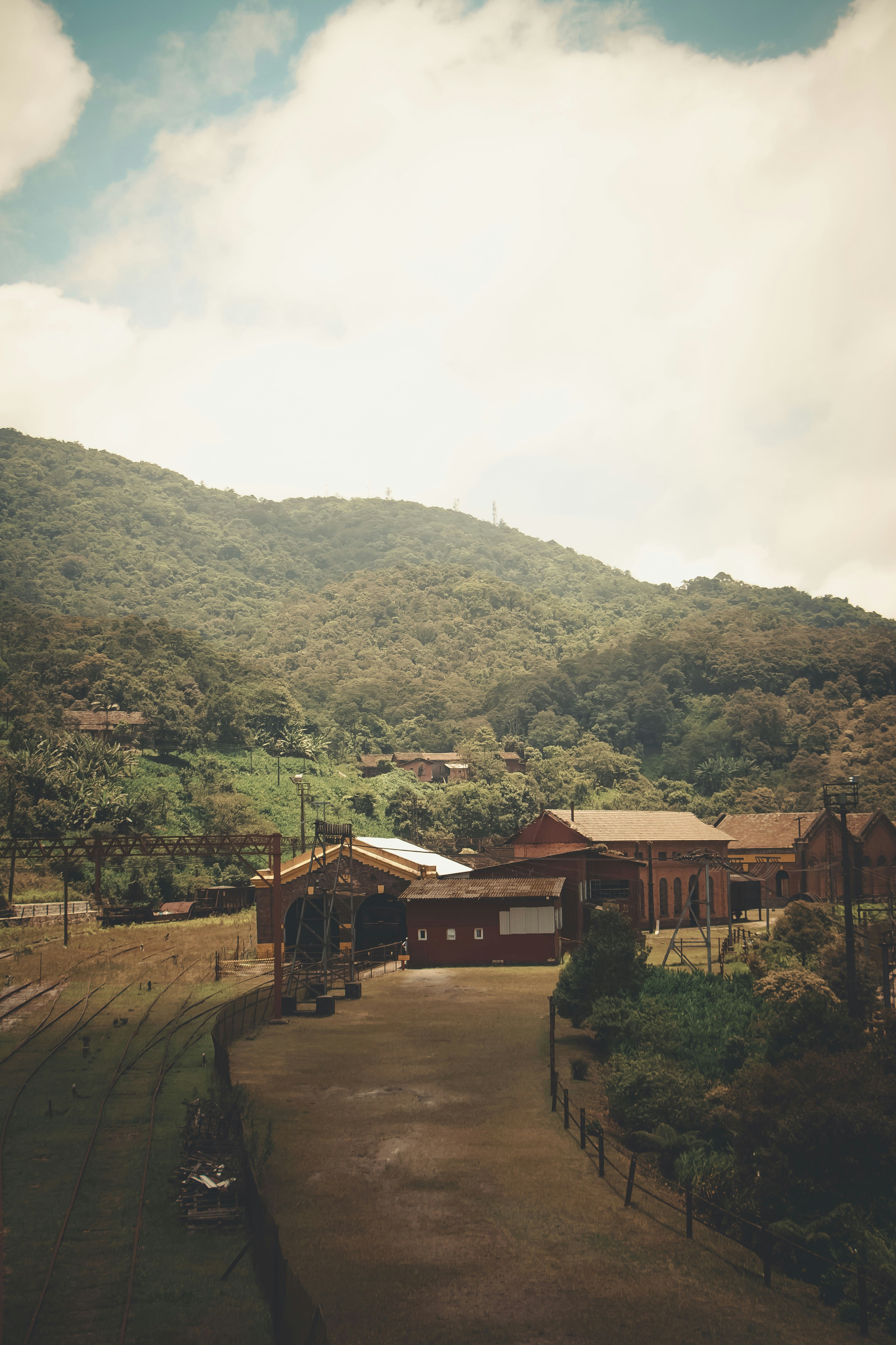 buildings, plants, and road during day