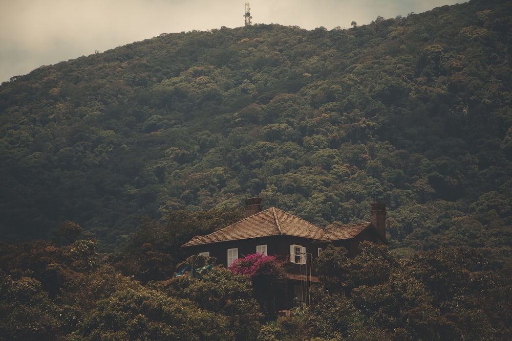 cabin near trees during daytime