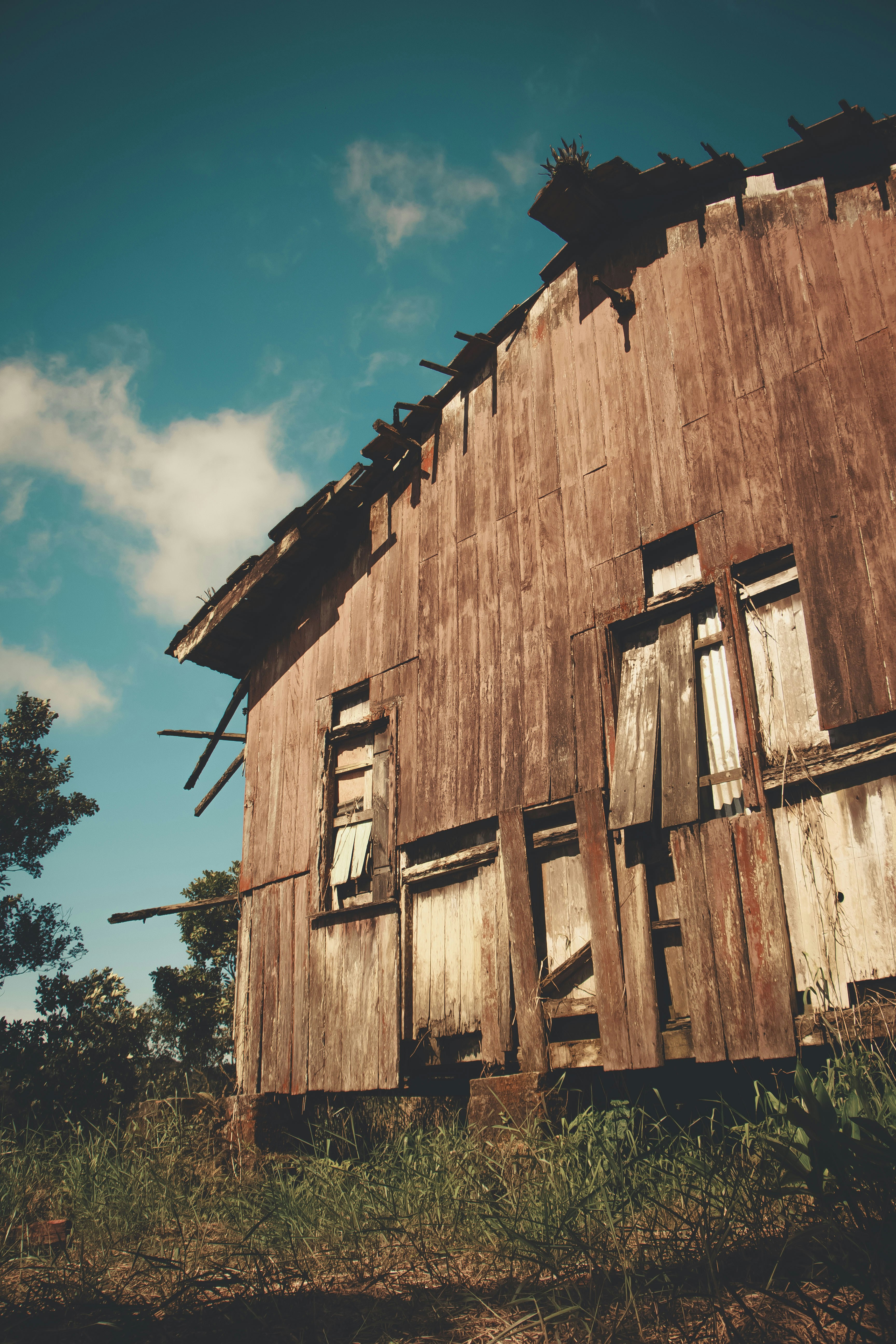barn during day