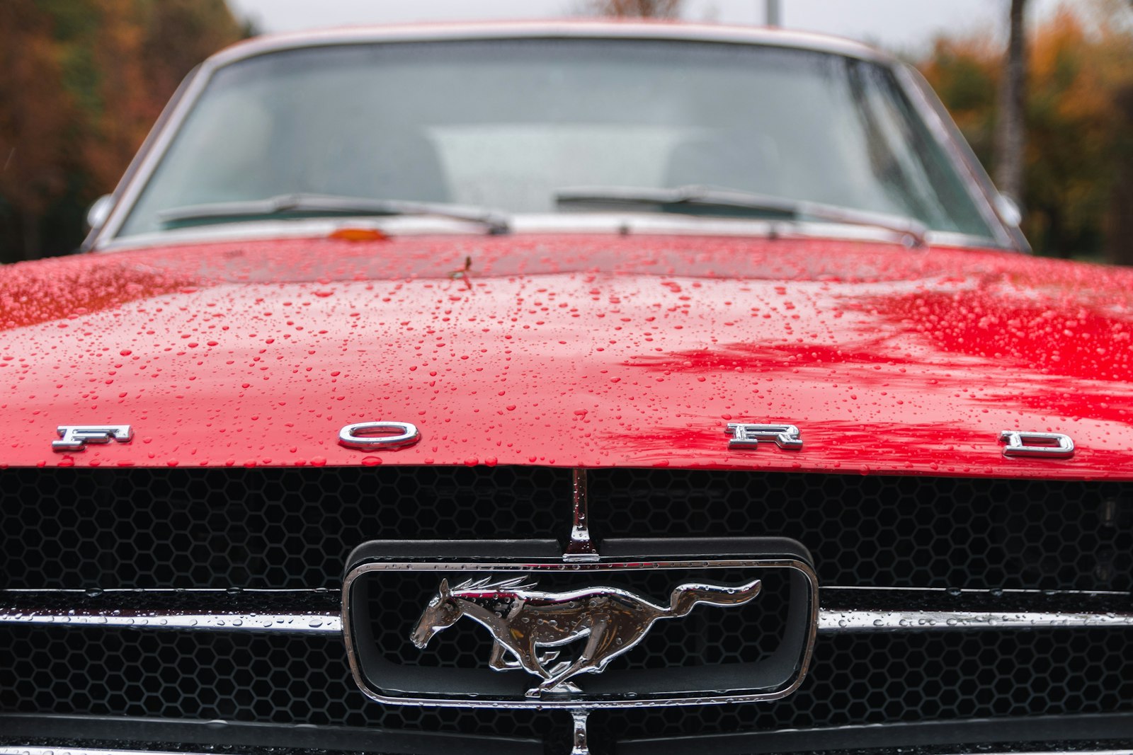 Nikon D7200 + Sigma 17-50mm F2.8 EX DC OS HSM sample photo. Parked red ford mustang photography