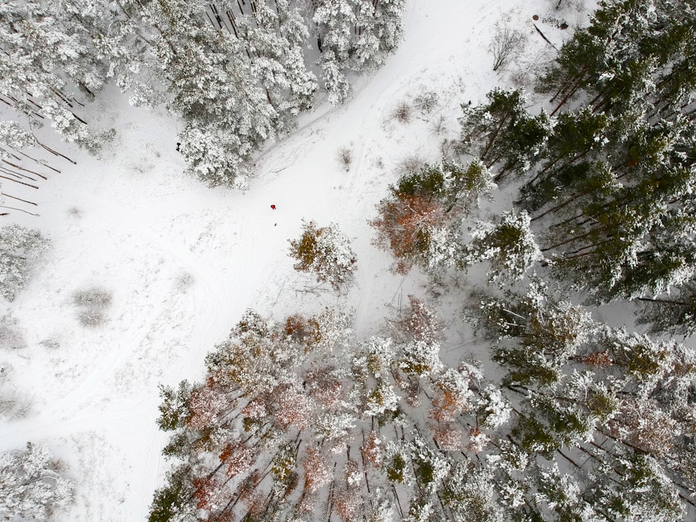 aerial photography of field and trees covered with snow during daytime