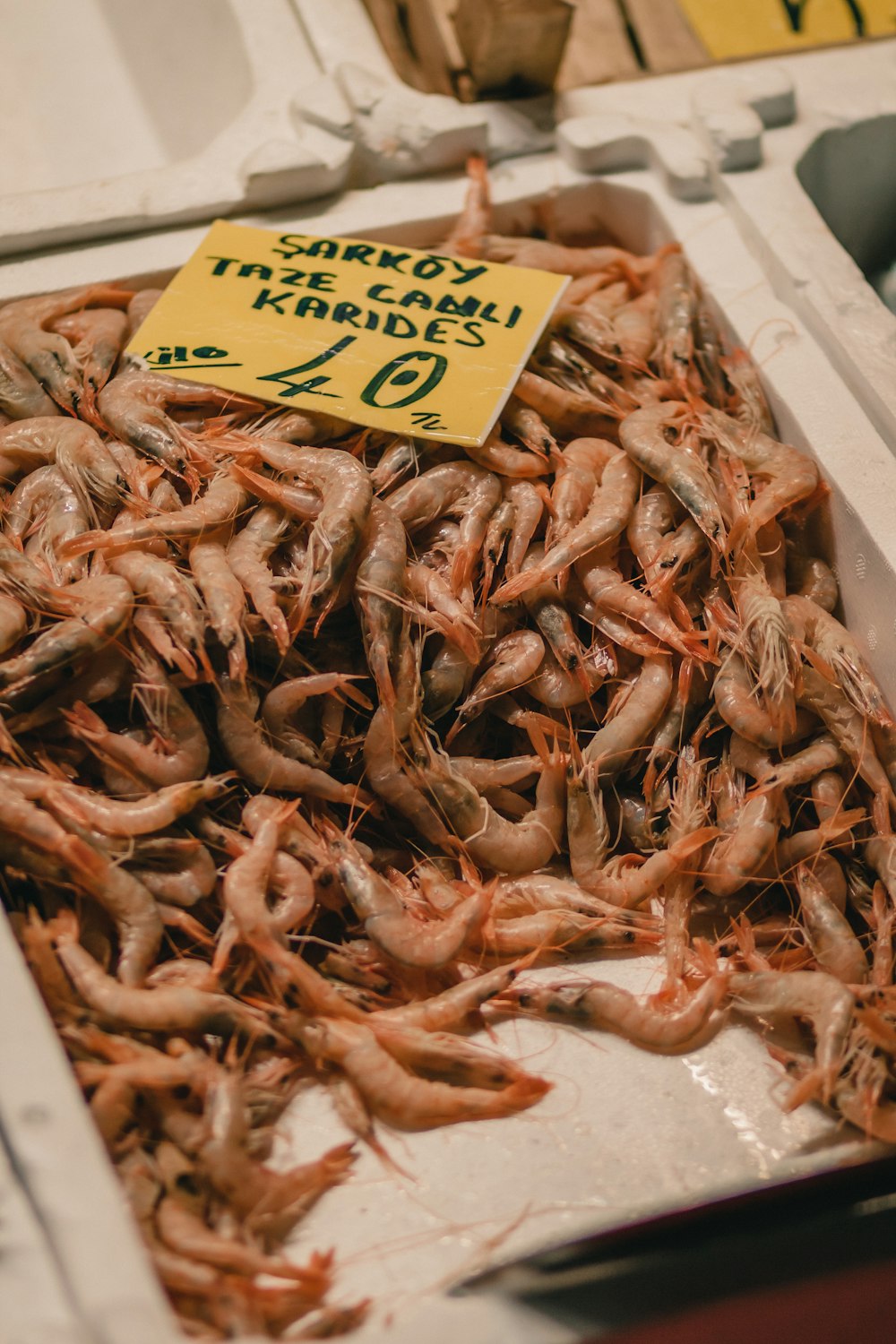 orange shrimps on display