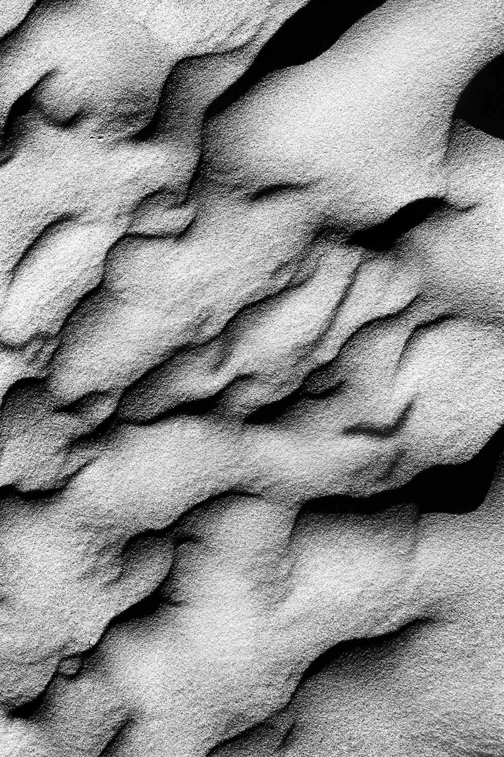 암석의 흑백 사진