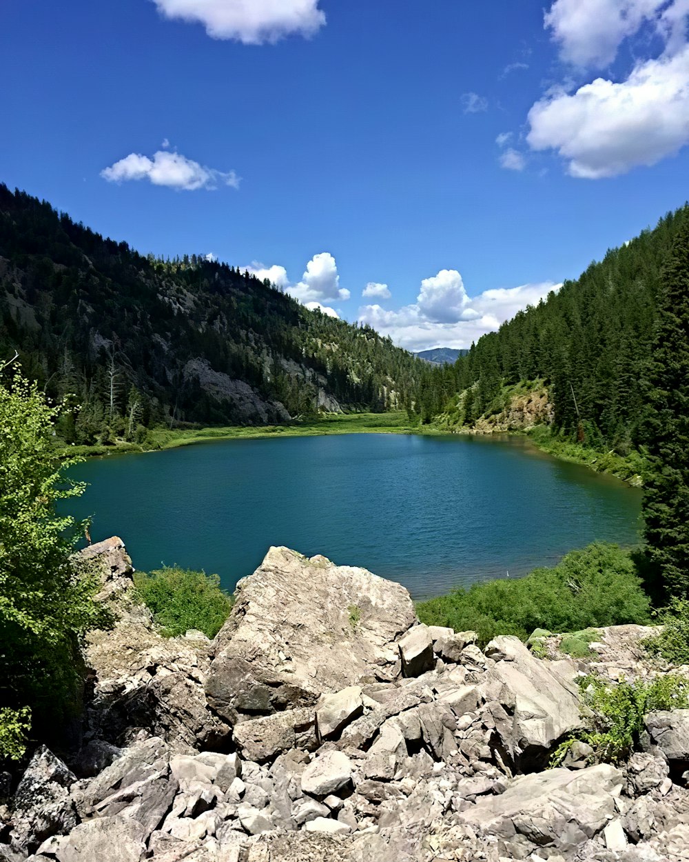 Tarn rodeado de árboles verdes que ven la montaña bajo el cielo blanco y azul