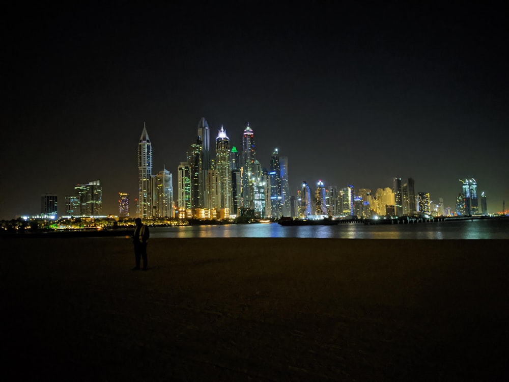 cityscape photography near body of water during night time