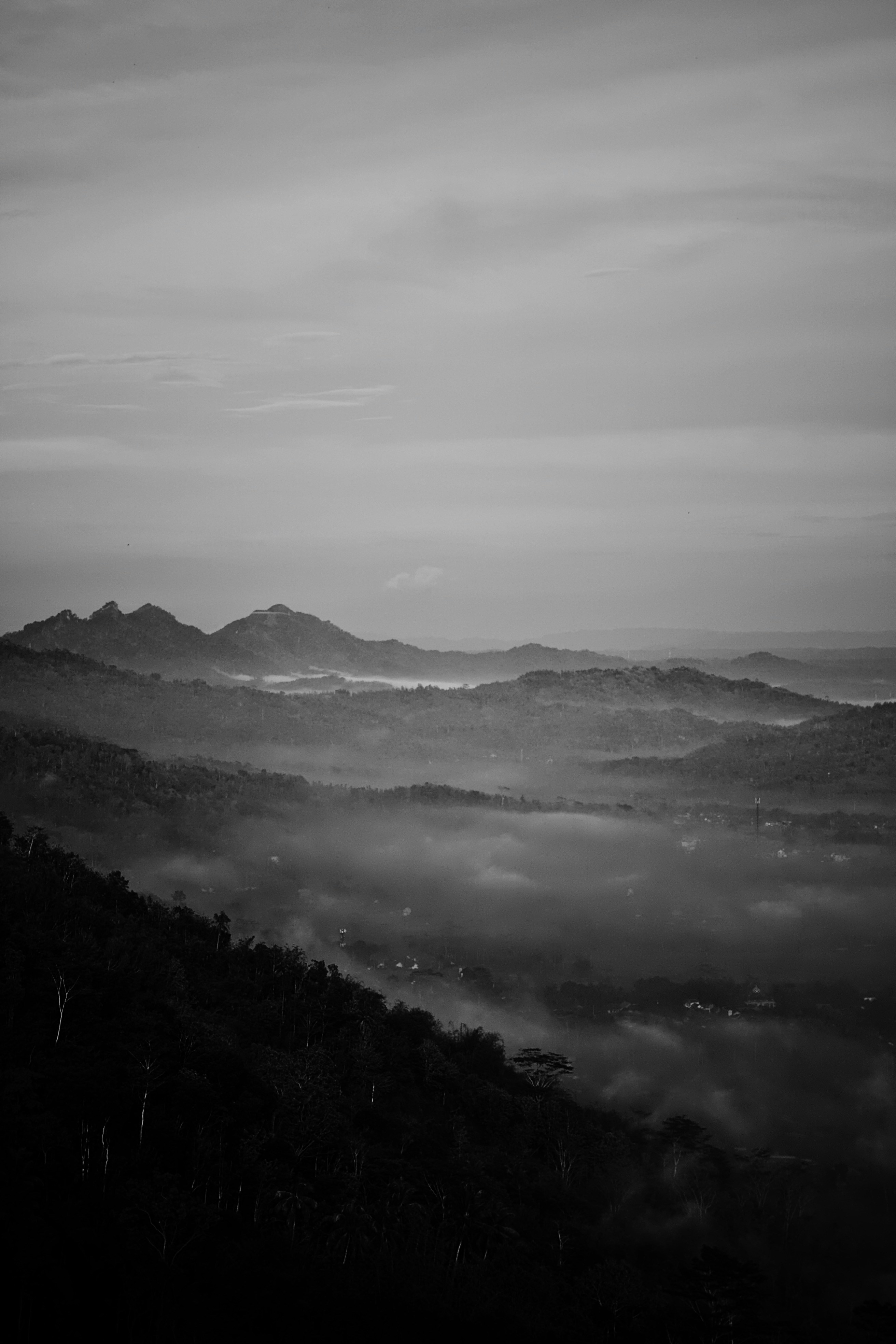 Photo by dikizulfikri