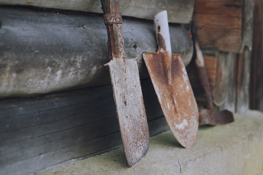 two brown garden shovels on plank
