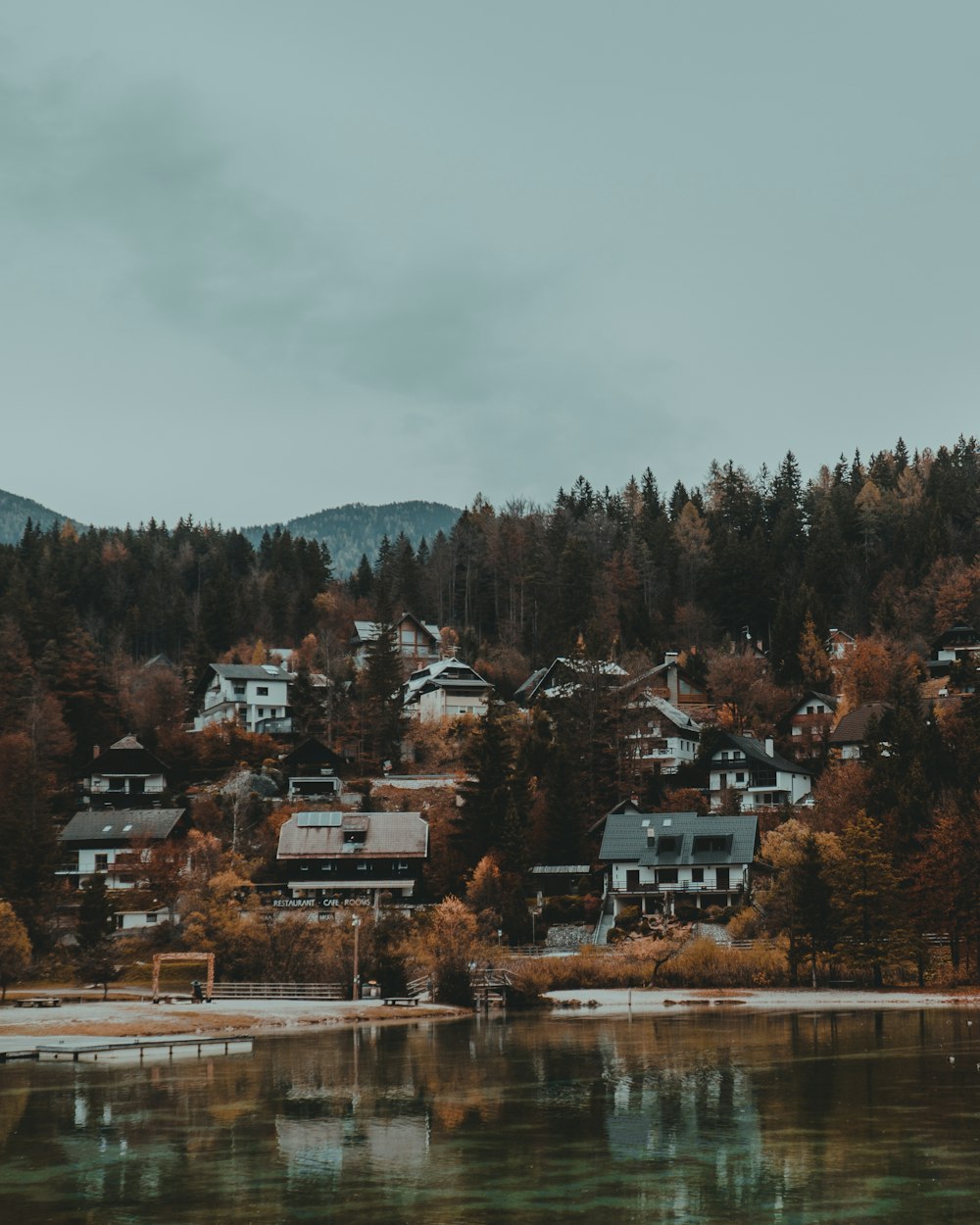 buildings and trees on island during daytime